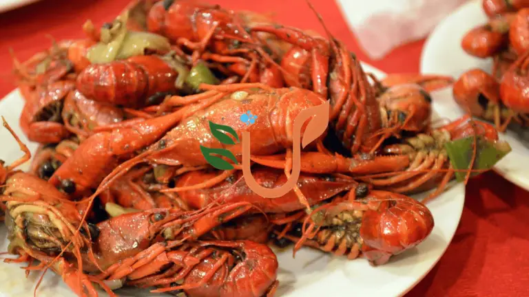 Crayfish: The Secret Ingredient That Elevates Every Meal