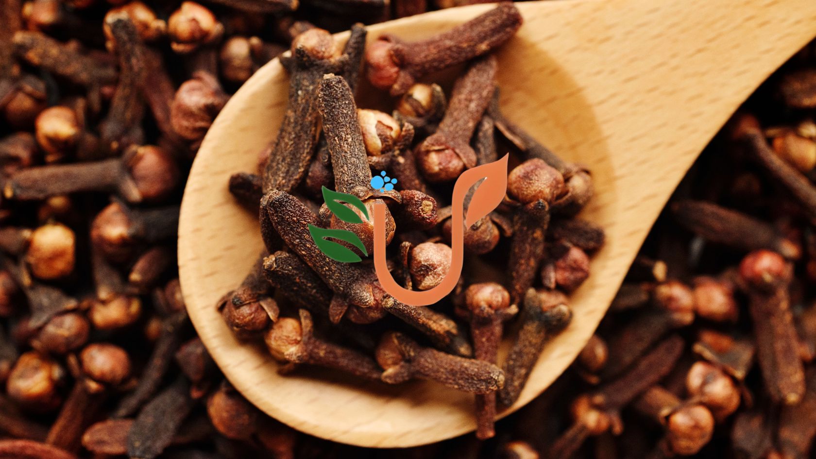 Cloves: The Aromatic Super Spice for Health and Wellness - Feed Oasis Blog