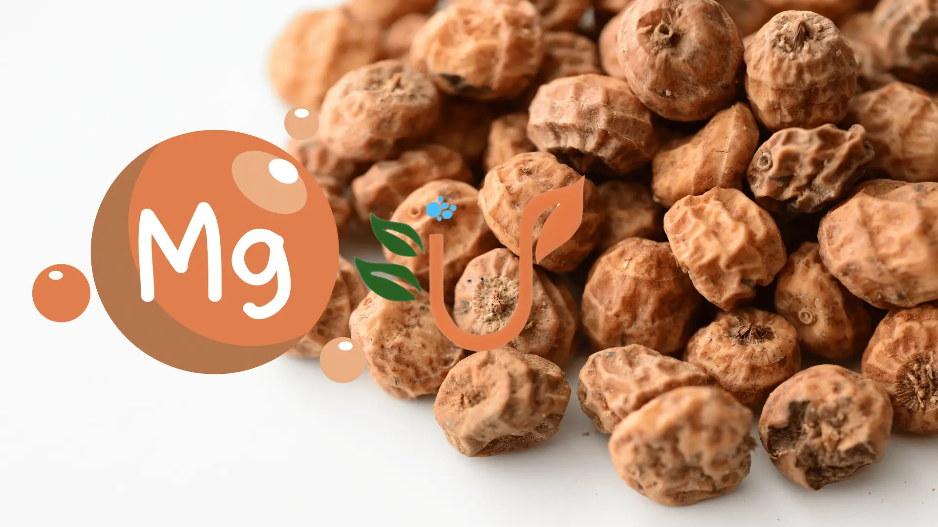 The Power of Magnesium: Why You Should Eat More Tiger Nuts